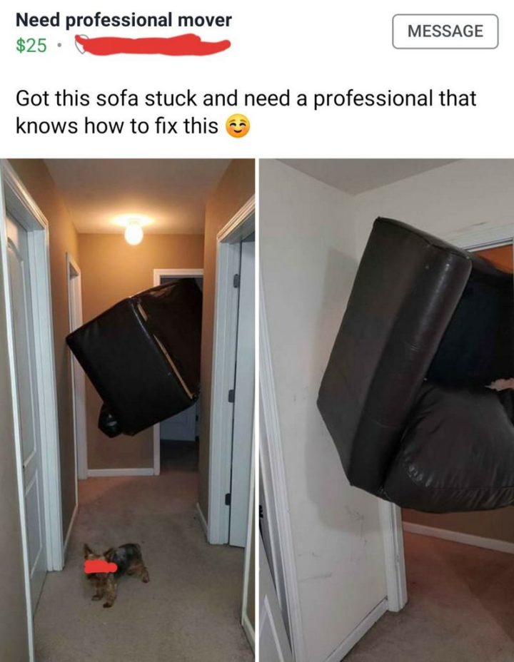 31 Instant Regret Moments - "Need professional mover. Got this sofa stuck and need a professional that knows how to fix this."