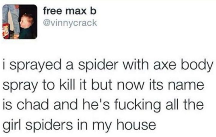 "I sprayed a spider with Axe body spray to kill it but now its name is Chad and he's [censored] all the girl spiders in my house.
