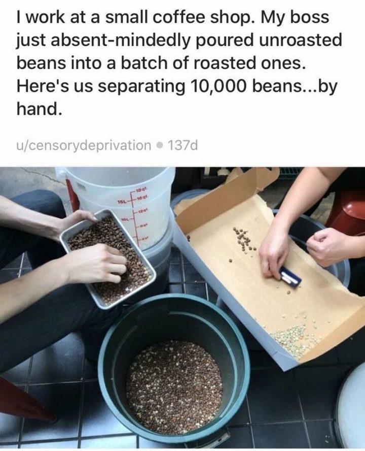 "I work at a small coffee shop. My boss just absent-mindedly poured unroasted beans into a batch of roasted ones. Here's us separating 10,000 beans...by hand."