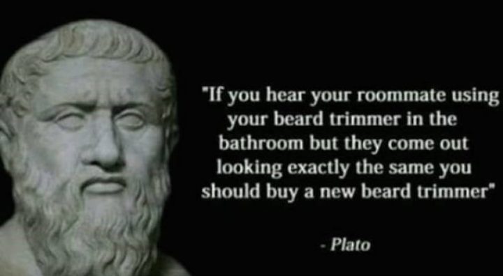 "If you hear your roommate using your beard trimmer in the bathroom but they come out looking exactly the same you should buy a new beard trimmer." - Plato