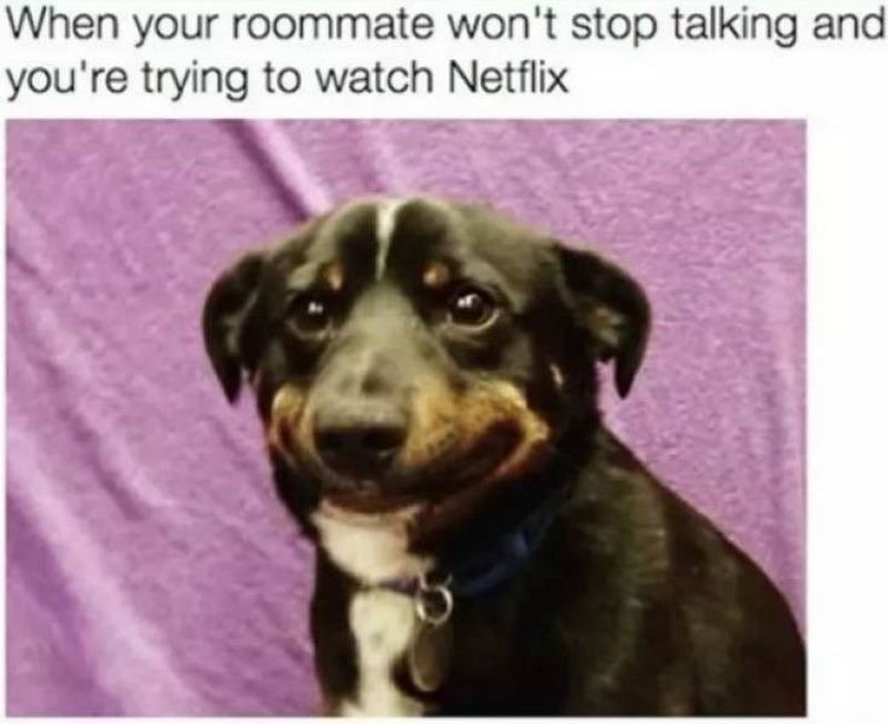 59 Funny Roommate Memes That Are Relatable and Just as ...