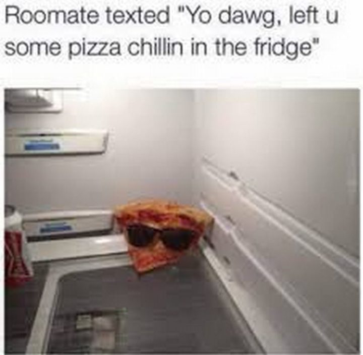 "Roommate texted, 'Yo dog, left u some pizza chilling in the fridge."