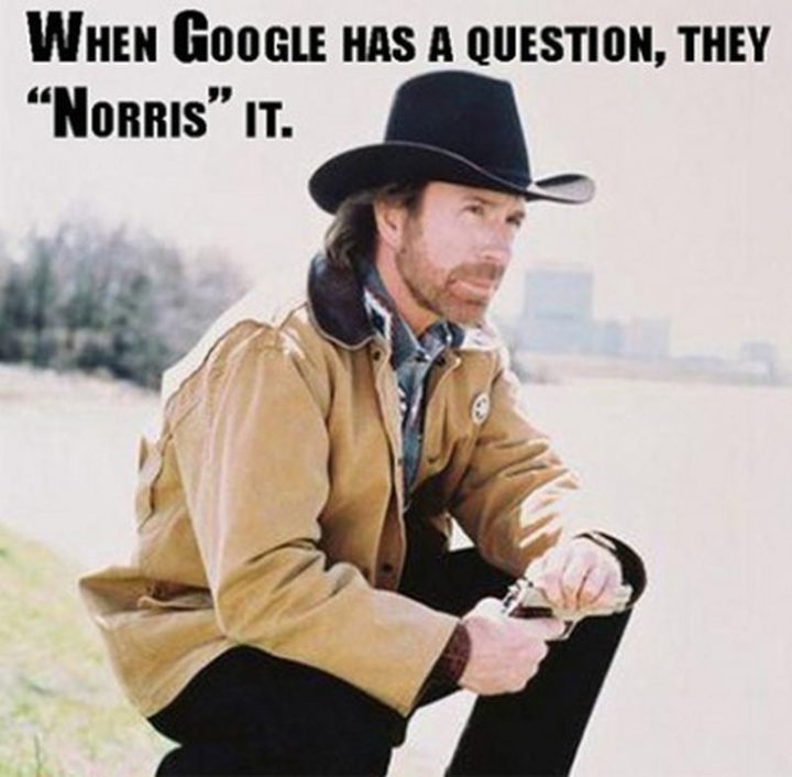 "When Google has a question, they 'Norris' it."