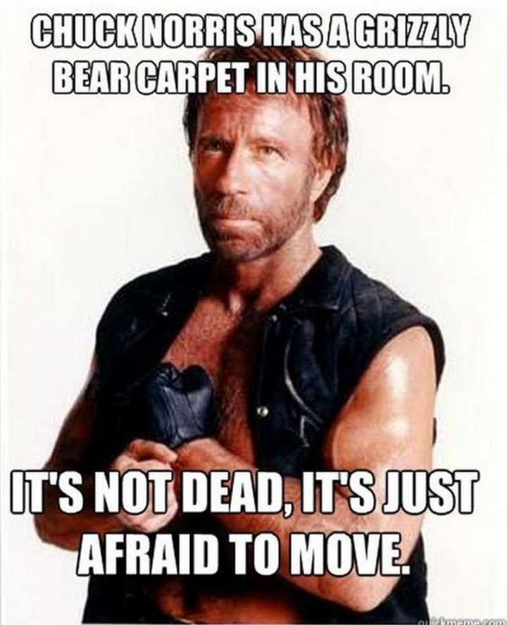 "Chuck Norris has a grizzly bear carpet in his room. It's not dead, it's just afraid to move."