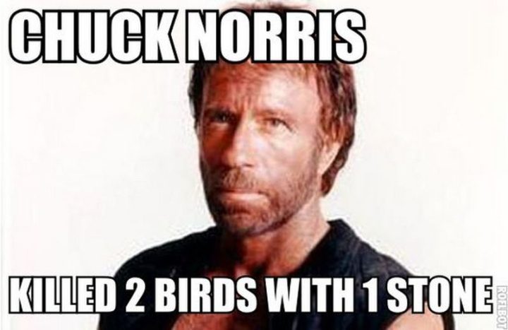 "Chuck Norris killed 2 birds with 1 stone."