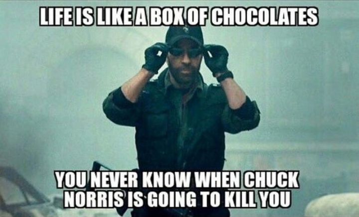 "Life is like a box of chocolates, you never know when Chuck Norris is going to kill you."