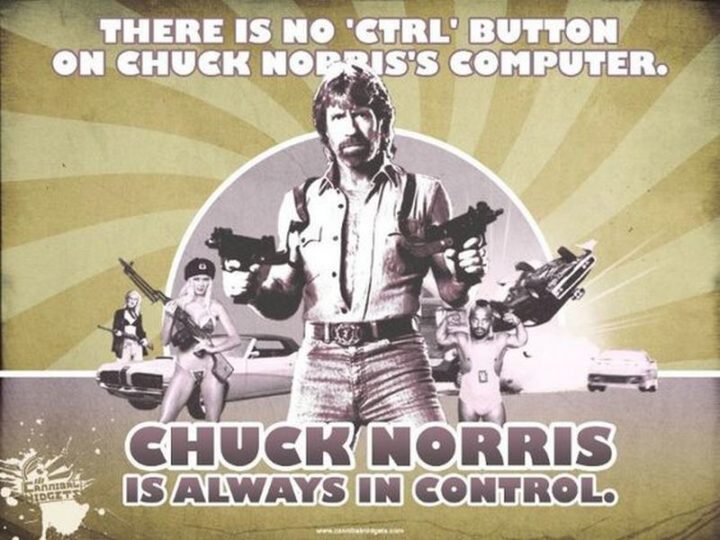 "There is no 'CTRL' button on Chuck Norris' computer. Chuck Norris is always in control."