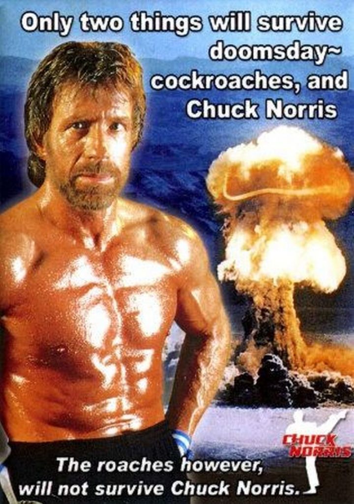 "Only two things will survive doomsday - Cockroaches, and Chuck Norris. The roaches, however, will not survive Chuck Norris."
