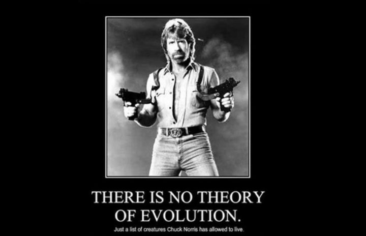 "There is no theory of evolution. Just a list of creatures Chuck Norris has allowed to live."