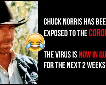 85 Funny Chuck Norris Memes That Are Truly Badass
