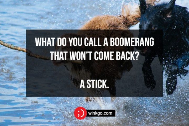 71 Two-Line Funny Jokes - What do you call a boomerang that won’t come back? A stick.