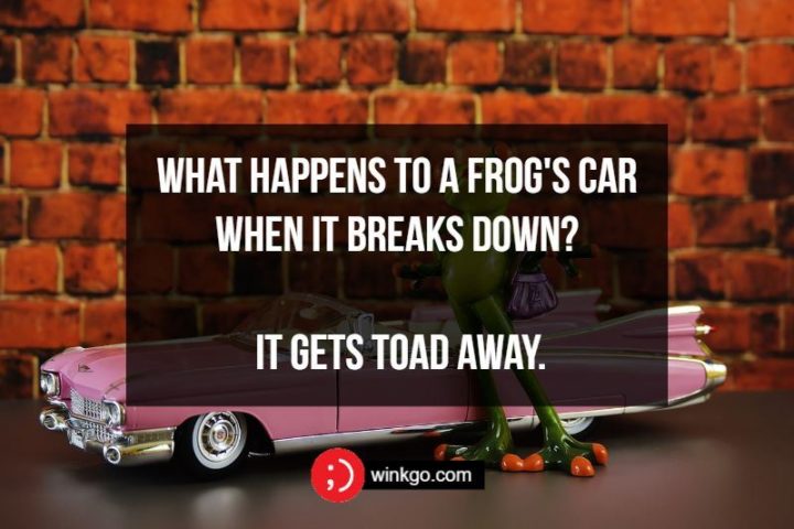 What happens to a frog's car when it breaks down? It gets toad away.