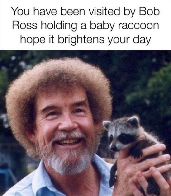 "You have been visited by Bob Ross holding a baby raccoon. Hope it brightens your day."