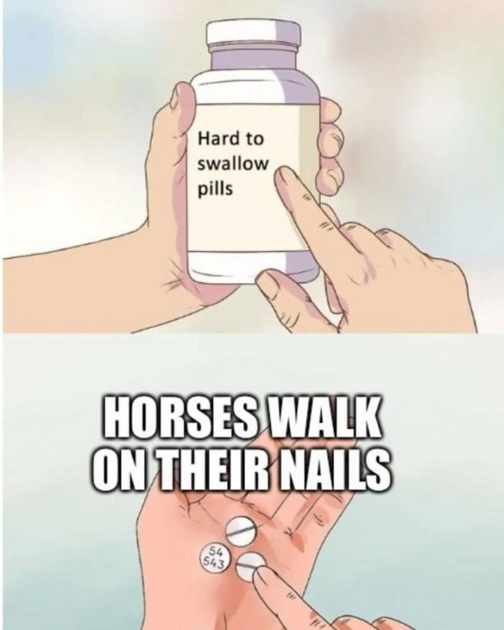 "Horses walk on their nails."