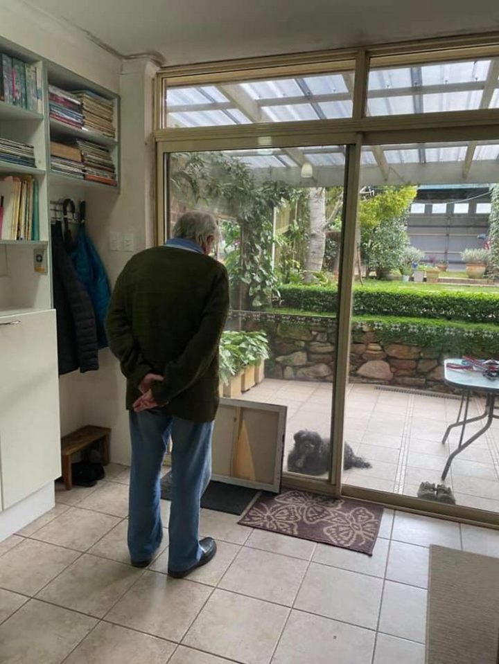 "My sister went to visit our grandparents today and our grandfather (who unfortunately has dementia) felt really sad for the dogs who had to stay outside. So he spent the day entertaining them by showing them various paintings."