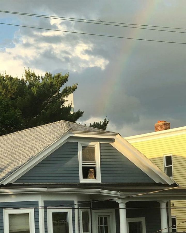 "Proof that there is gold at the end of a rainbow!"