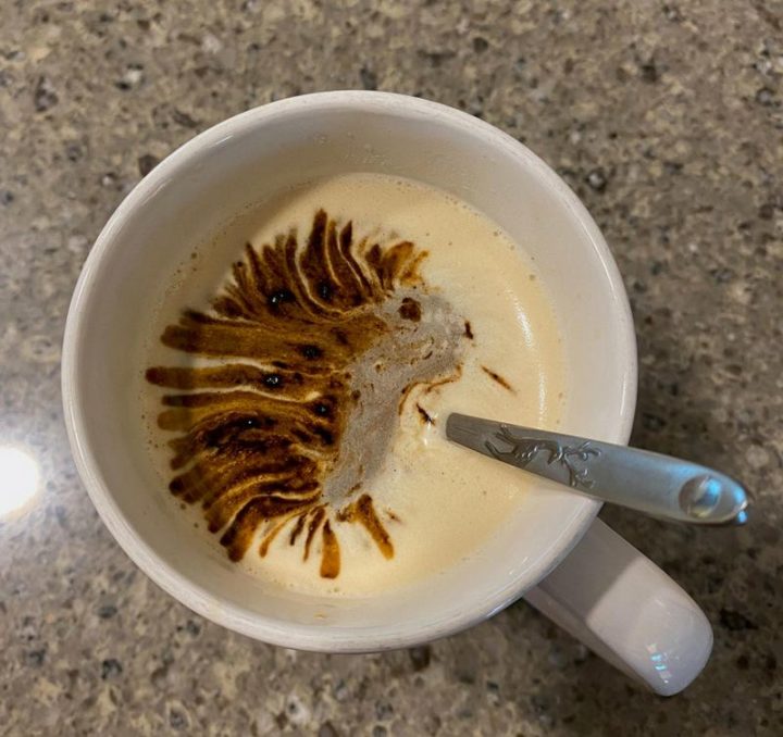 "Accidentally created a porcupine by pouring instant coffee over an Americano."