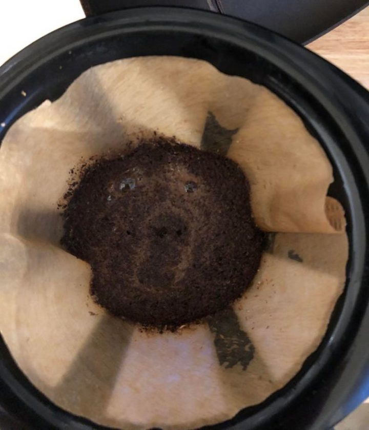 "This morning’s coffee bloom looked like a surprised bear."