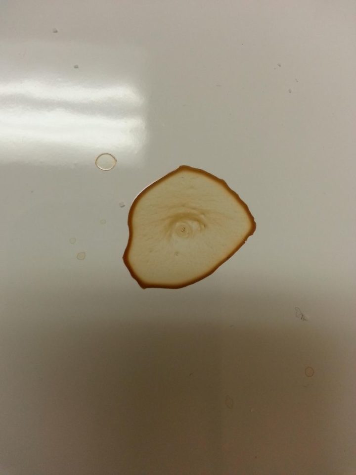 "Spilled a bit of coffee. Came back later to see it looking at me."