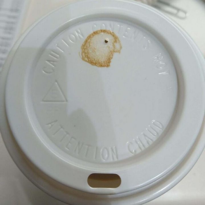 "My coffee stain made a bird."