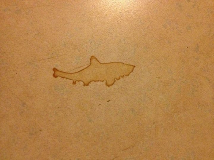 "Shark shaped coffee stain."