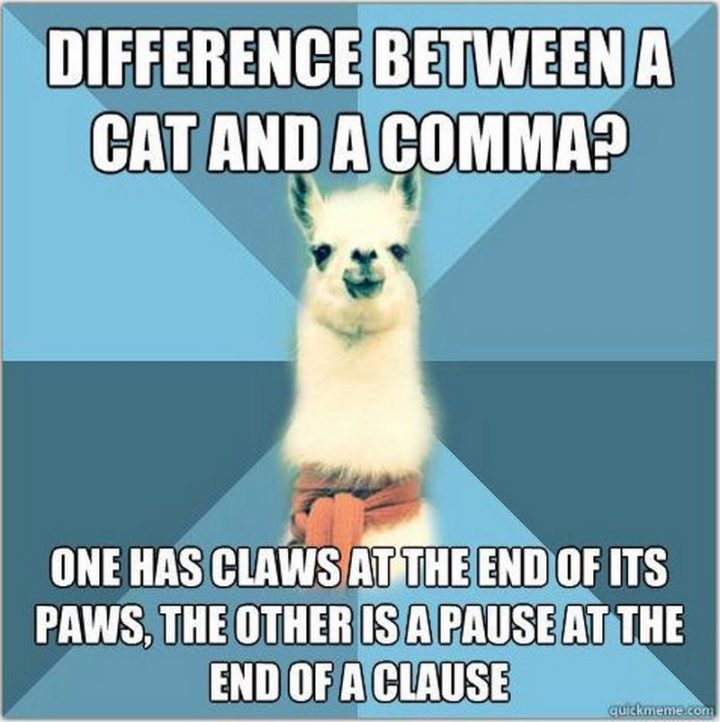 57 Grammar Memes - "Difference between a cat and a comma? One has claws at the end of its paws, the other is a pause at the end of a clause."
