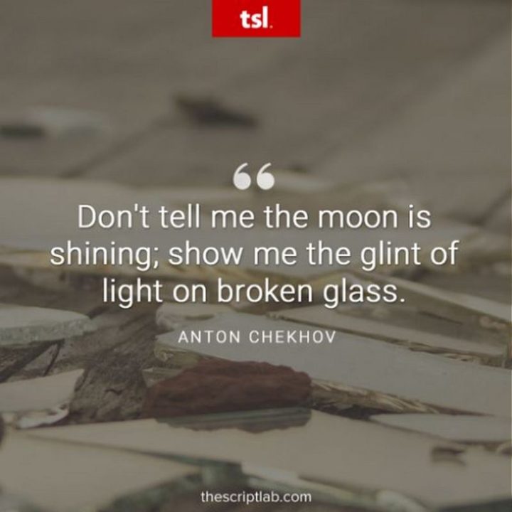 57 Grammar Memes - "Don't tell me the moon is shining; show me the glint of light on broken glass." - Anton Chekhov