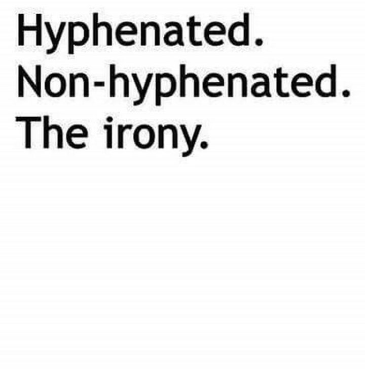 57 Grammar Memes - "Hyphenated. Non-hyphenated. The irony."