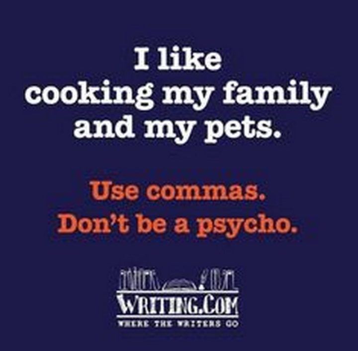 57 Grammar Memes - "I like cooking my family and my pets. Use commas. Don't be a psycho."
