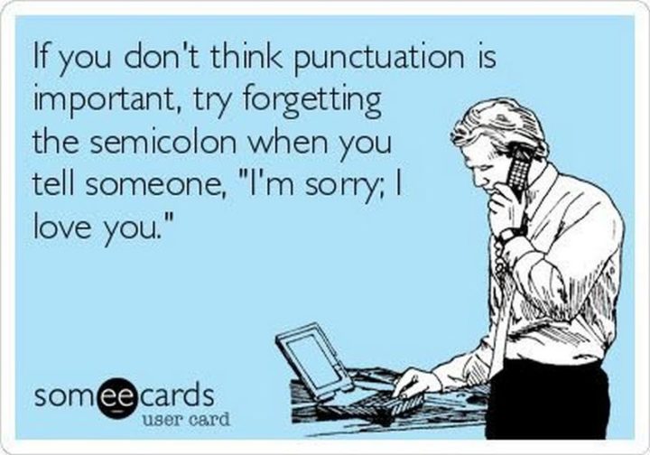 57 Grammar Memes - "If you don't think punctuation is important, try forgetting the semicolon when you tell someone, 'I'm sorry; I love you.'"