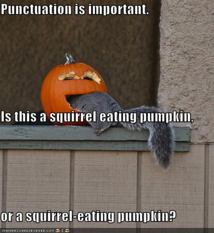 "Punctuation is important. Is this a squirrel eating pumpkin, or a squirrel-eating pumpkin?"