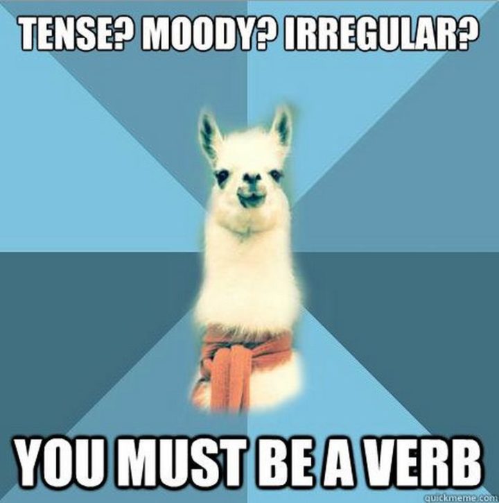 "Tense? Moody? Irregular? You must be a verb."