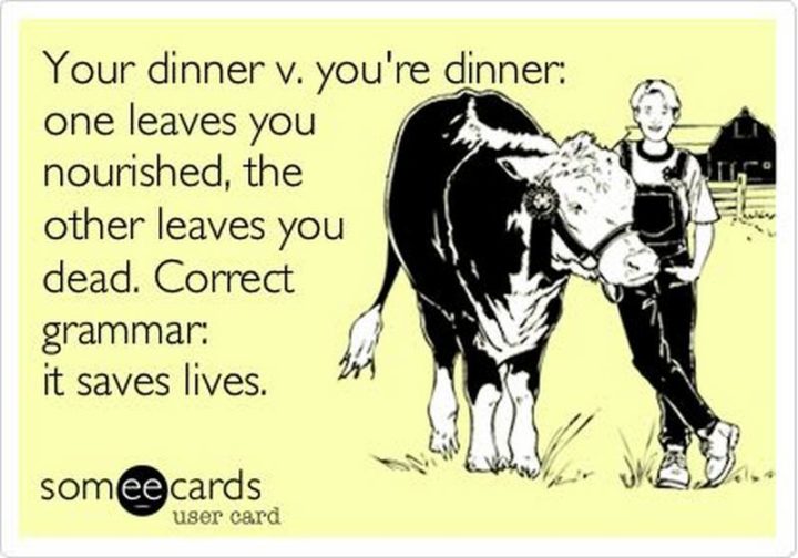 "Your dinner v. you're dinner: One leaves you nourished, the other leaves you dead. Correct grammar: It saves lives."