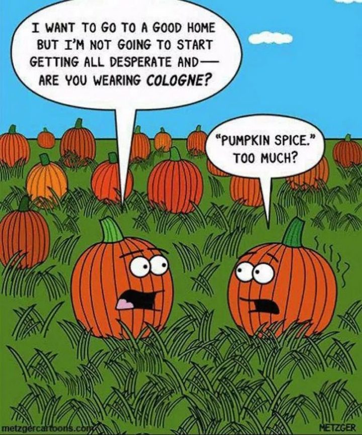 Funny Halloween Memes For Kids