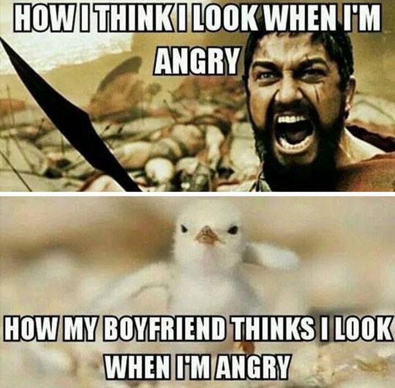 43-angry-memes-perfectly-expresses-our-anger-with-2020