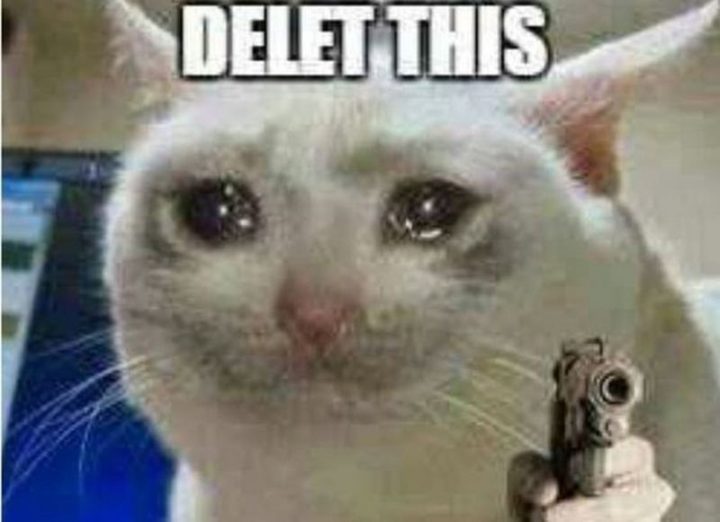 29 Funny Crying Cat Memes - "Delet this. But don't delete these crying cat memes...share them on social media!"