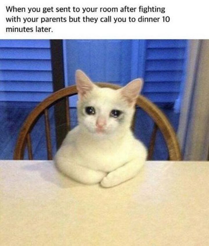 29 Funny Crying Cat Memes - "When you get sent to your room after fighting with your parents but they call you to dinner 10 minutes later."
