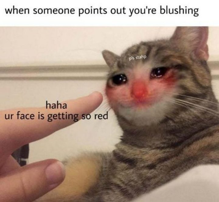 "When someone points out you're blushing: Haha, ur face is getting so red."