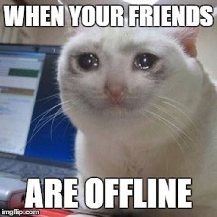 "When your friends are offline."