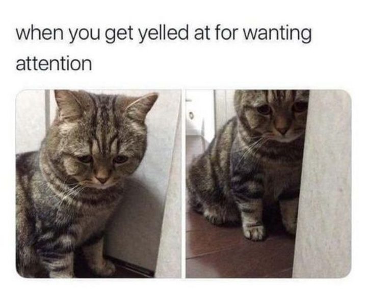 "When you get yelled at for wanting attention."