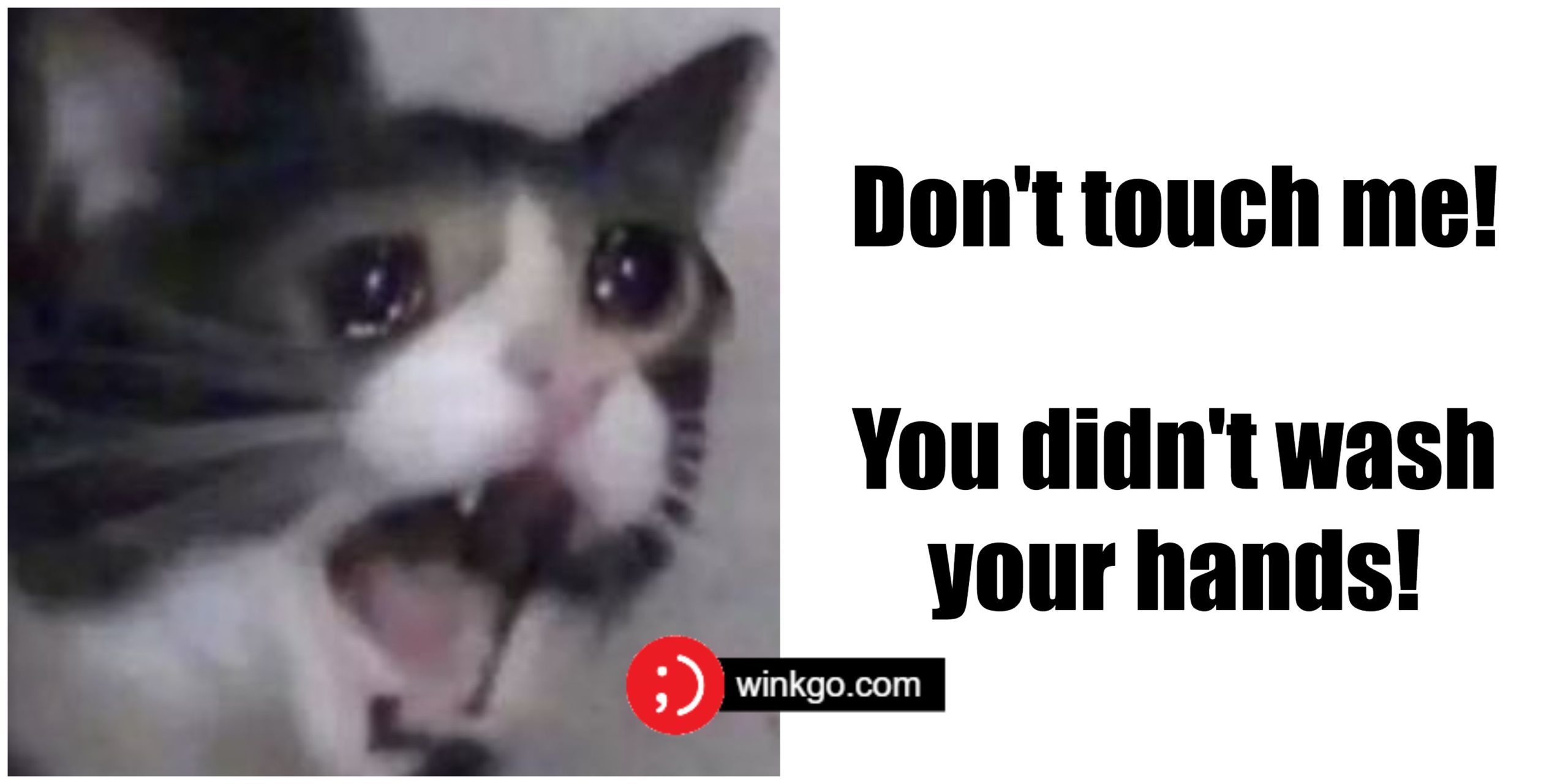 29 Funny Crying Cat Memes Will Make You All Warm and Fuzzy