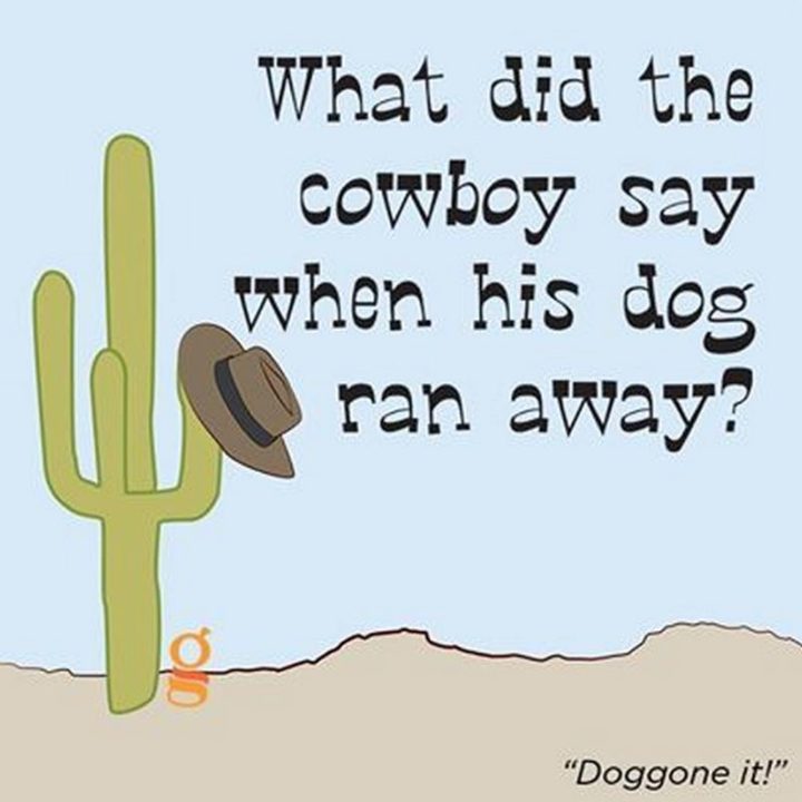 What did the cowboy say when his dog ran away? Doggone it!