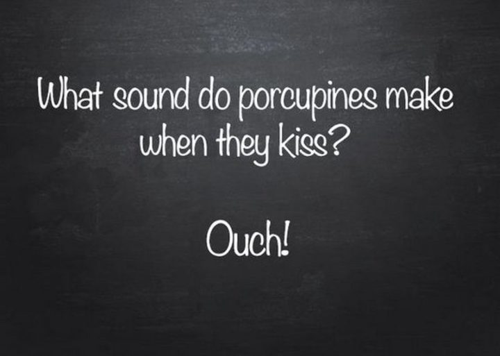 What sound to porcupines makes when they kiss? Ouch!