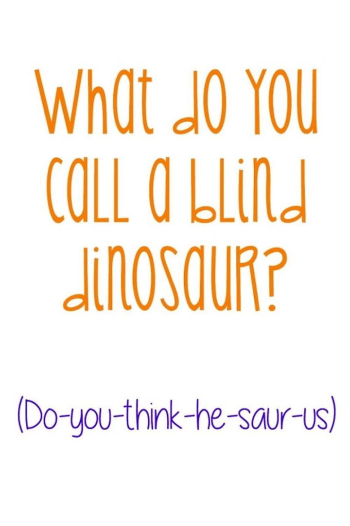 What do you call a blind dinosaur? (Do-you-think-he-saur-us)