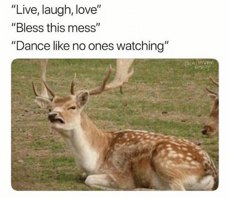 29 Live Laugh Love Memes Just In Time For Quarantine   Live Laugh Love Memes 09 