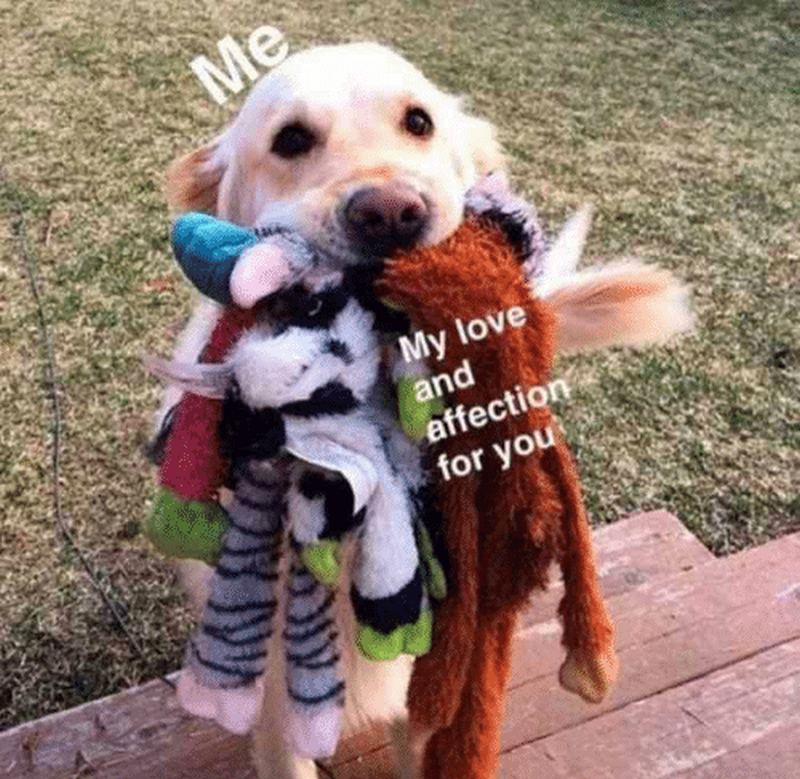 47 Wholesome Love and Affection Memes for That Special Person