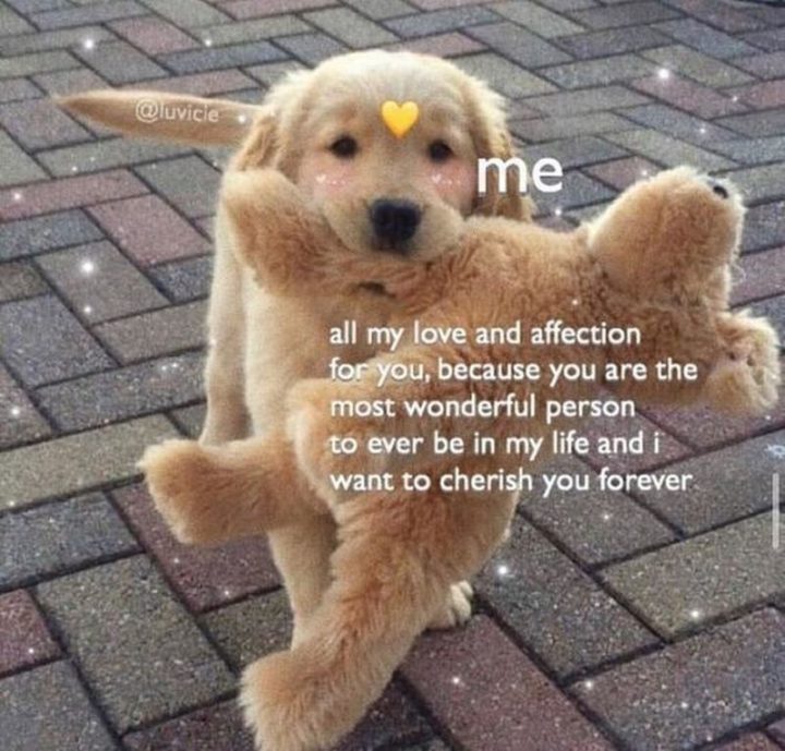 47 Wholesome Love And Affection Memes For That Special Person