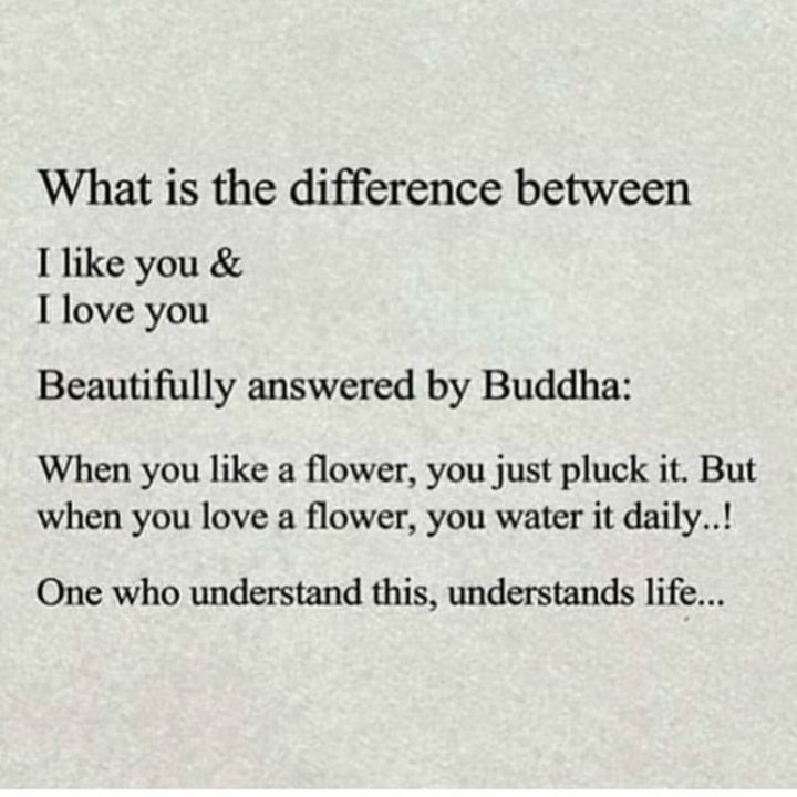 35 "I Like You" Memes - "What is the difference between I like you and I love you? Beautifully answered by Buddha: When you like a flower, you just pluck it. But when you love a flower, you water it daily..! One who understands this understands life..."