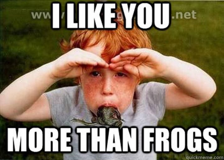 35 "I Like You" Memes - "I like you more than frogs."