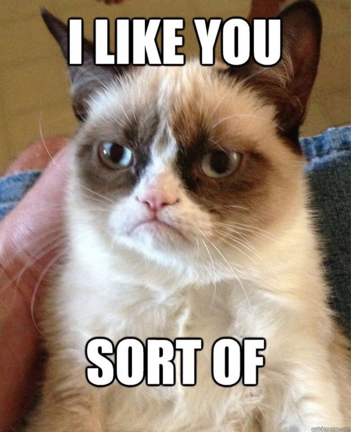 "I like you. Sort of."